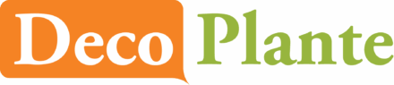 Deco Plante